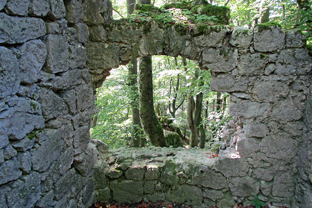 Ruine Adelburg &ndash; (VGN &copy;&nbsp;VGN GmbH)