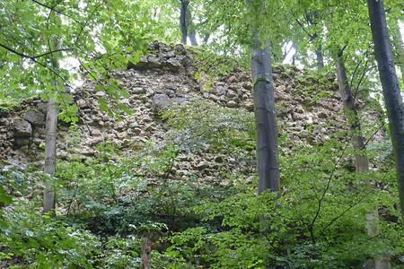 Nördliches Ringmauerteil &ndash; (VGN &copy;&nbsp;VGN GmbH)