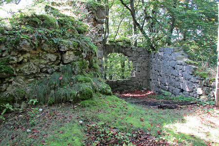 Ruine Adelburg &ndash; (VGN &copy;&nbsp;VGN GmbH)