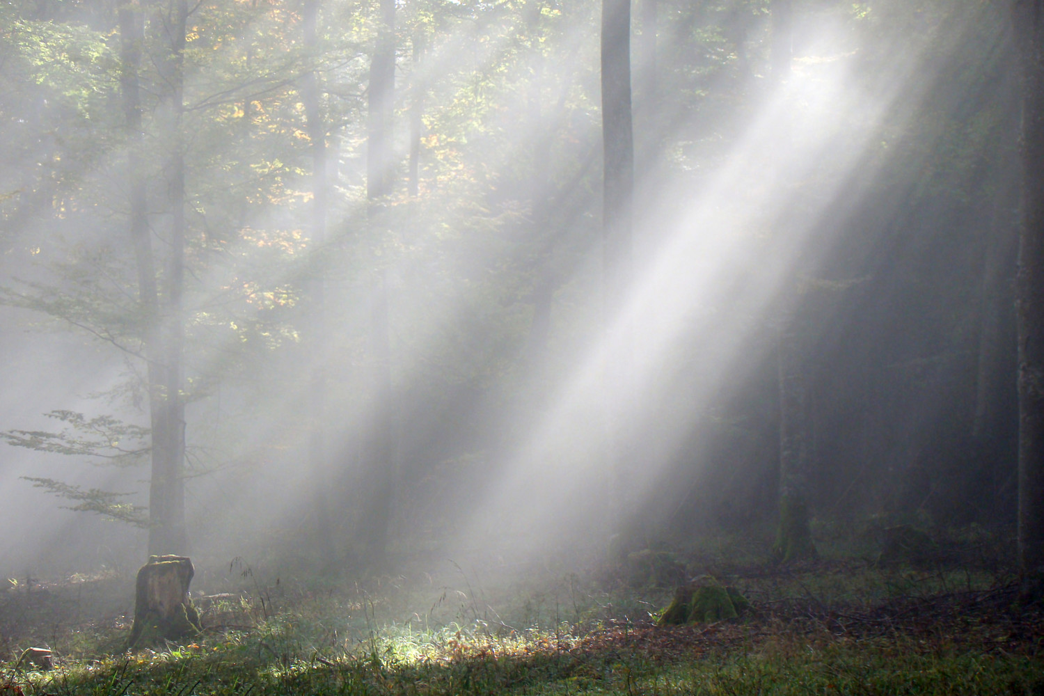 Lichtspiele &ndash;  (VGN &copy;&nbsp;VGN GmbH)