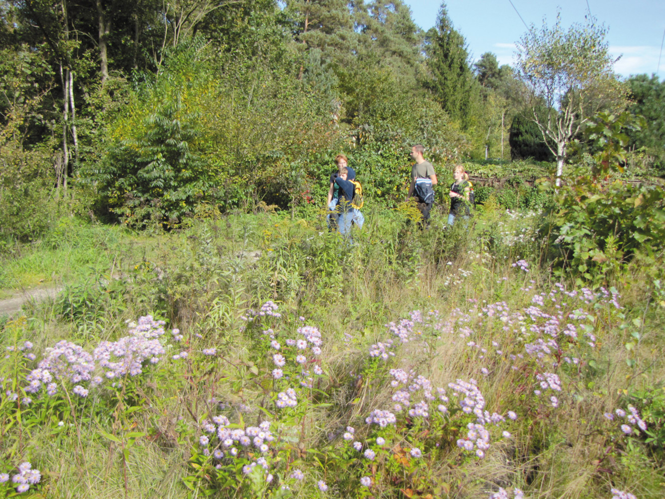 Märchenhafte Wälder &ndash;  (VGN &copy;&nbsp;VGN GmbH)
