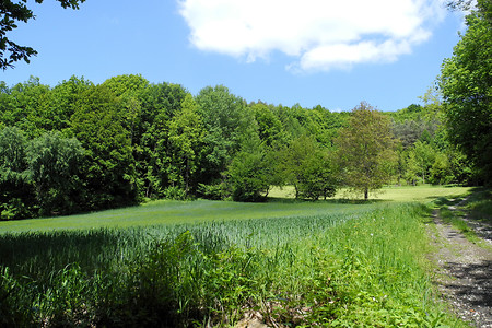 Unterwegs &ndash; (17.05.2012, VGN &copy;&nbsp;VGN GmbH)