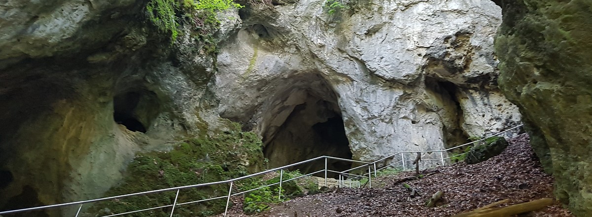 Versturzhöhle Riesenburg &ndash;  (18.08.2019, S. Dassler &copy;&nbsp;VGN GmbH)