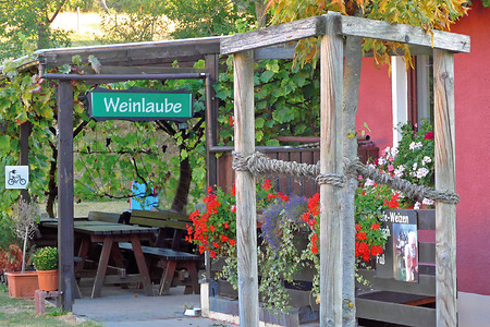 Weinlaube &ndash; (14.03.2017, VGN &copy;&nbsp;VGN GmbH)