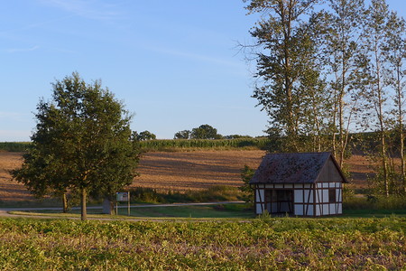 Osinghütte &ndash; (14.03.2017, VGN &copy;&nbsp;VGN GmbH)
