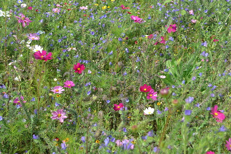 Wiese im Aischgrund &ndash; (14.03.2017, VGN &copy;&nbsp;VGN GmbH)
