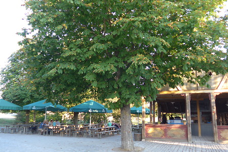 Biergarten im Freilandmuseum &ndash; (14.03.2017, VGN &copy;&nbsp;VGN GmbH)