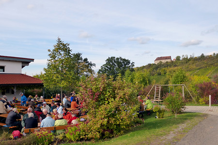 Weinnest &ndash; (14.03.2017, VGN &copy;&nbsp;VGN GmbH)