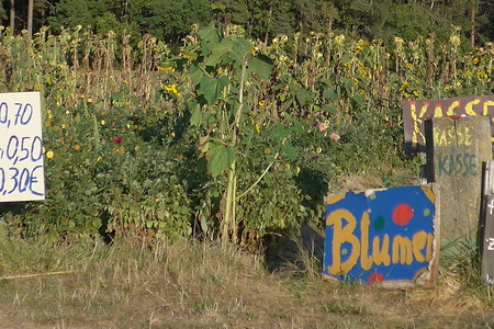 Vor Wilhelmsgreuth &ndash; (14.03.2017, VGN &copy;&nbsp;VGN GmbH)