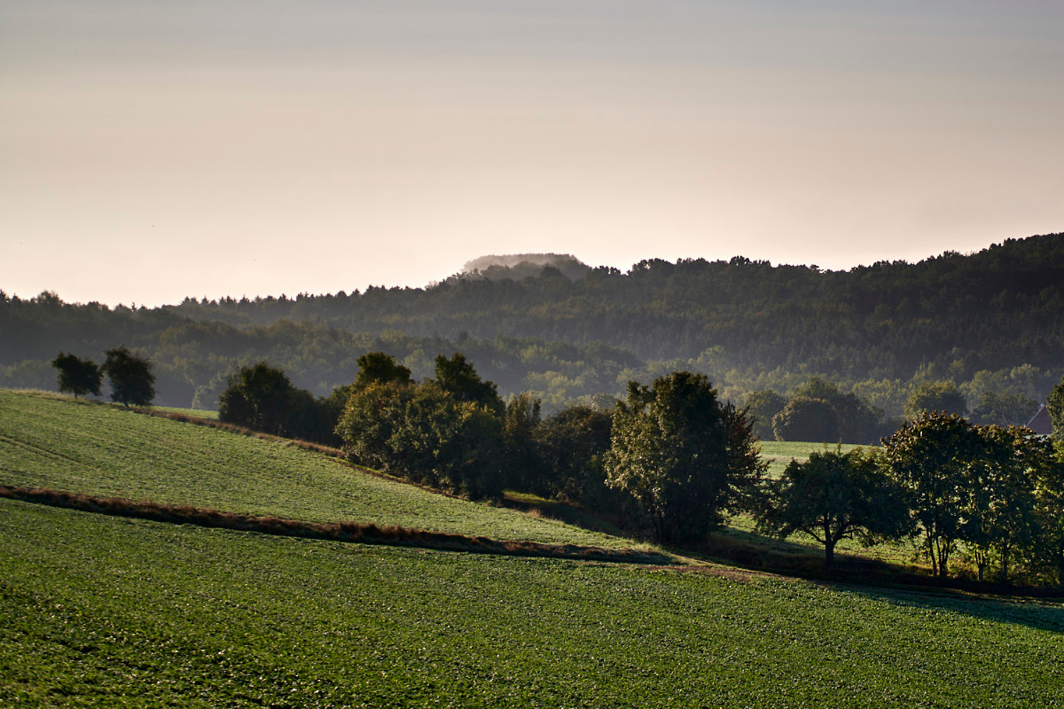 Einberger Schweiz &ndash;  (&copy;&nbsp;Ulrich Büscher)