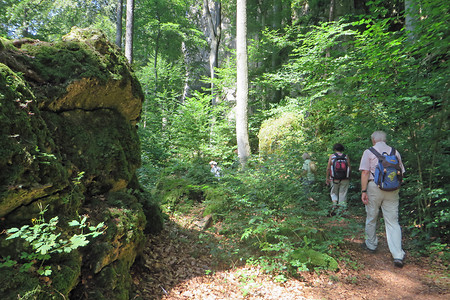 Wanderpfad &ndash; (14.08.2016, VGN &copy;&nbsp;VGN GmbH)