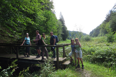 Über die Trubach &ndash; (14.08.2016, VGN &copy;&nbsp;VGN GmbH)