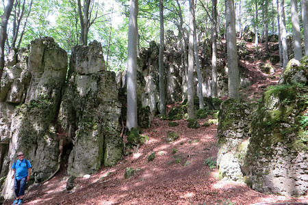 Felsformationen &ndash; (14.08.2016, VGN &copy;&nbsp;VGN GmbH)