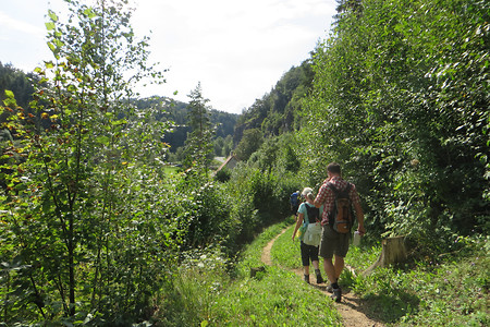 Entlang der Trubach &ndash; (14.08.2016, VGN &copy;&nbsp;VGN GmbH)