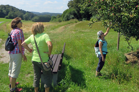 Naschkatzen &ndash; (14.08.2016, VGN &copy;&nbsp;VGN GmbH)