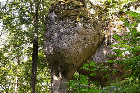 Juraelefant &ndash; (14.08.2016, VGN &copy;&nbsp;VGN GmbH)