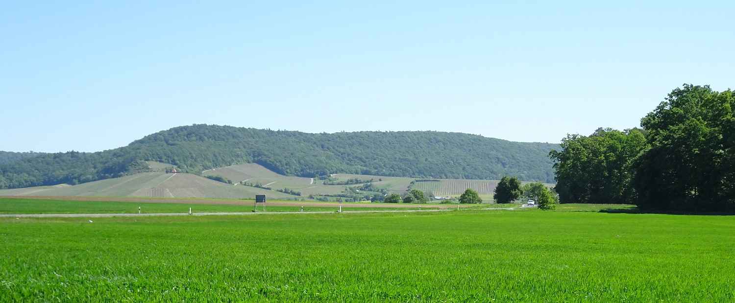 Hügellandschaft &ndash;  (05.06.2018, S. Dassler &copy;&nbsp;VGN GmbH)