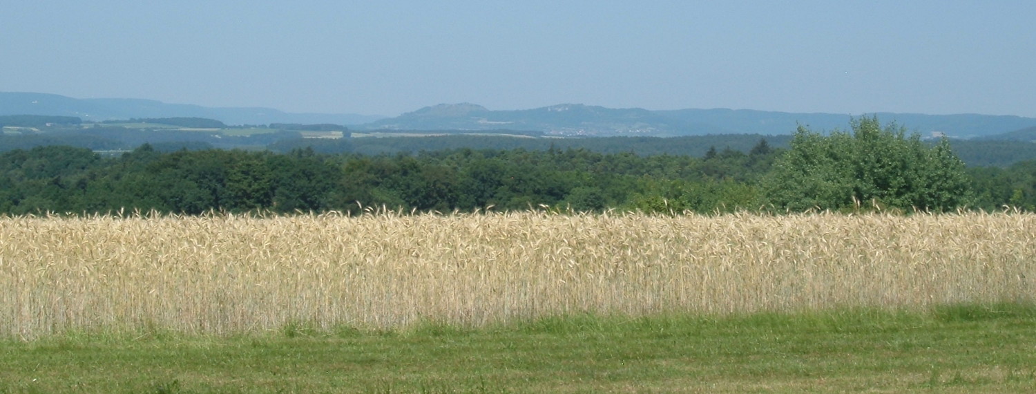 Kornfeld &ndash;  (01.10.2015, VGN &copy;&nbsp;VGN GmbH)