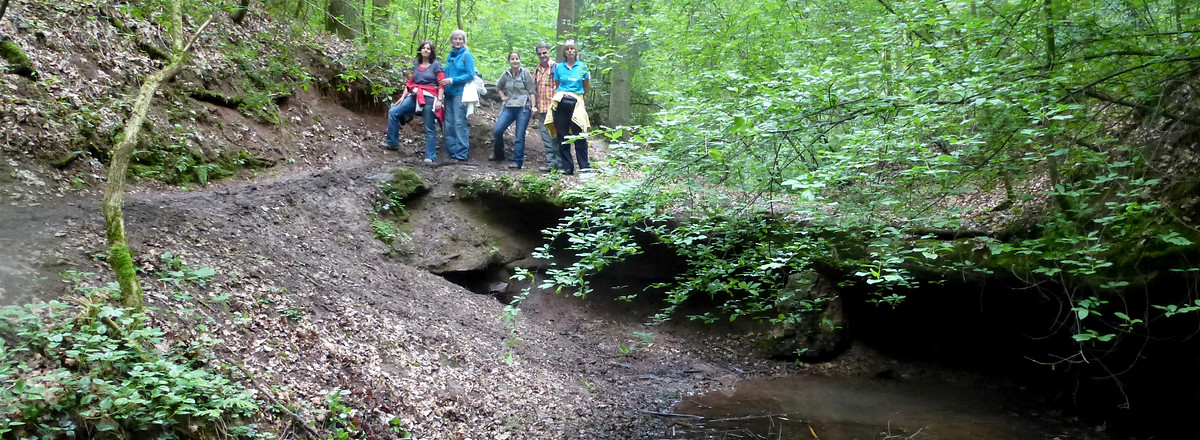 Im Klingengraben &ndash;  (20.05.2013, VGN &copy;&nbsp;VGN GmbH)