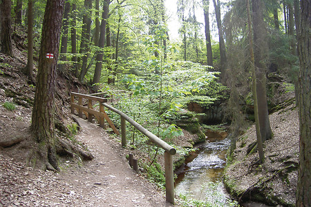 Die Bitterbachschlucht &ndash; (VGN &copy;&nbsp;VGN GmbH)