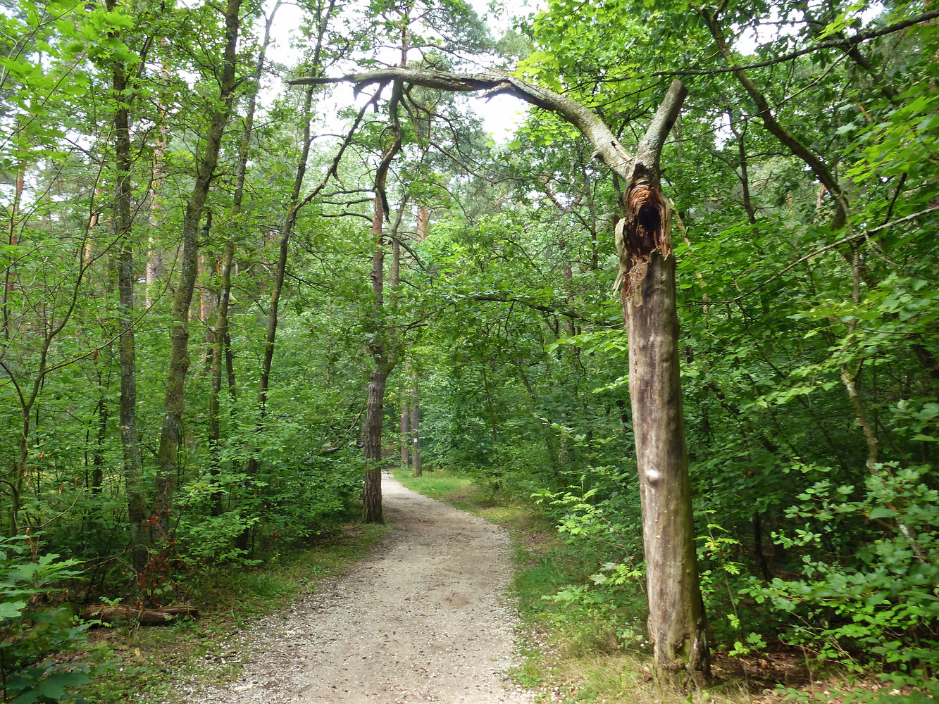 Weg zum Tiefgraben &ndash;  (VGN &copy;&nbsp;VGN GmbH)