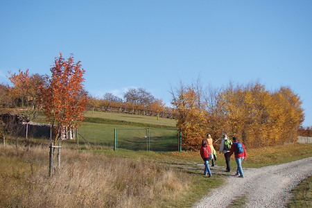 Herbst in den Ergersheimer Weinhängen &ndash; (07.11.2011, VGN &copy;&nbsp;VGN GmbH)