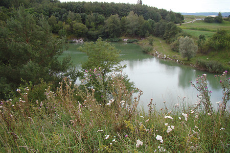 alte Tongrube &ndash; (15.08.2011, VGN &copy;&nbsp;VGN GmbH)