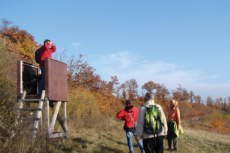 Kleiner Aussichtspavillon &ndash; (07.11.2011, VGN &copy;&nbsp;VGN GmbH)