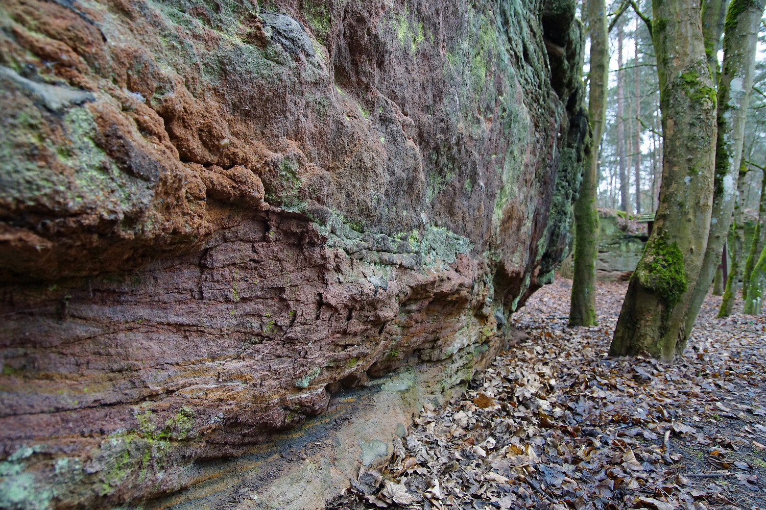 Sandsteinfelsen am Steinbrüchlein &ndash;  (VGN &copy;&nbsp;VGN GmbH)
