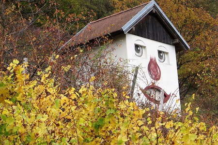 Weinberghütte &ndash; (09.02.2018, VGN &copy;&nbsp;VGN GmbH)
