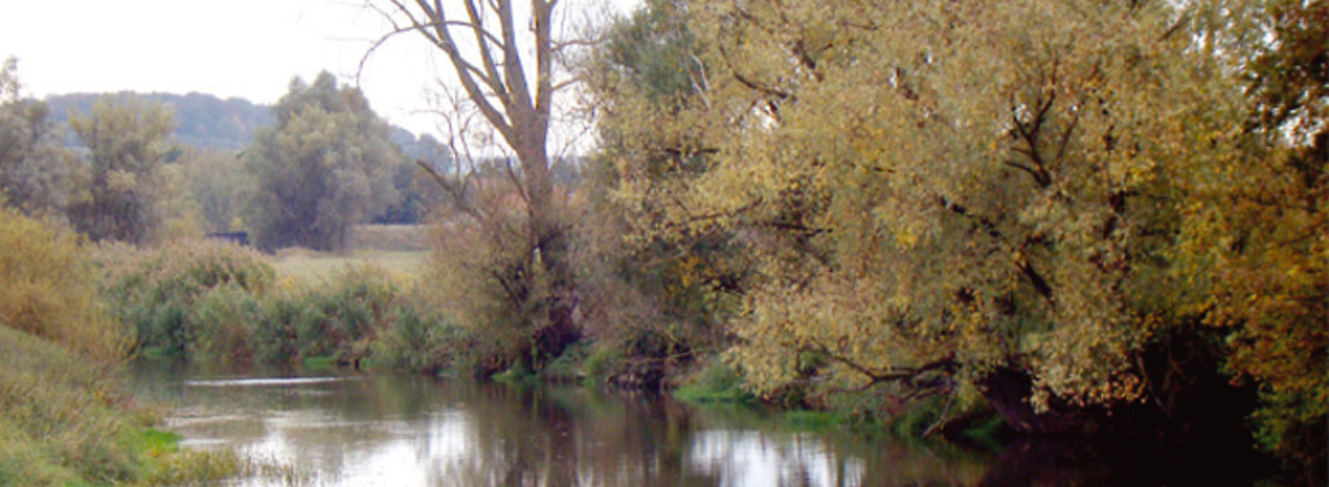 die Wörnitz &ndash;  (VGN &copy;&nbsp;VGN GmbH)