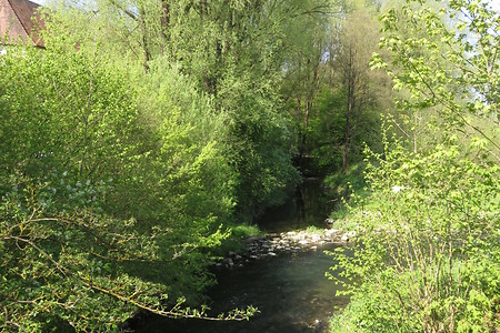 Zwischen Altdorf und Ochenbruck &ndash; (05.05.2016, schreibwerk &copy;&nbsp;schreibwerk)