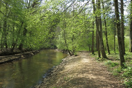 An der Schwarzach entlang &ndash; (05.05.2016, schreibwerk &copy;&nbsp;schreibwerk)