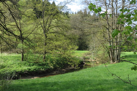 Zwischen Altdorf und Ochenbruck &ndash; (05.05.2016, schreibwerk &copy;&nbsp;schreibwerk)