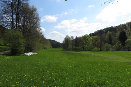 Zwischen Altdorf und Ochenbruck &ndash; (05.05.2016, schreibwerk &copy;&nbsp;schreibwerk)