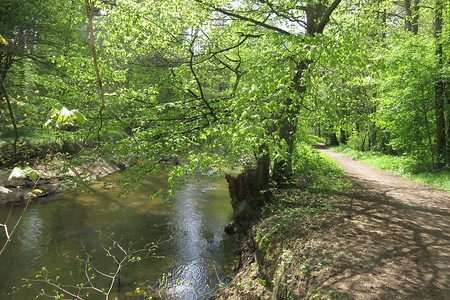 Zwischen Ochenbruck und Feucht &ndash; (05.05.2016, schreibwerk &copy;&nbsp;schreibwerk)