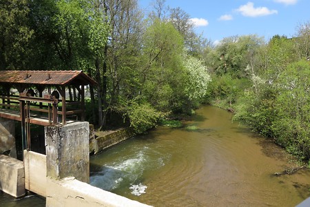 Wehr an der Schwarzach &ndash; (05.05.2016, schreibwerk &copy;&nbsp;schreibwerk)
