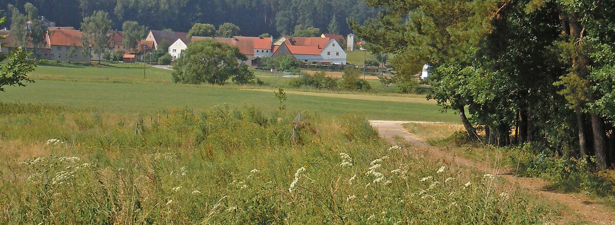 Am Waldrand vor Kirschendorf &ndash;  (26.07.2012, VGN &copy;&nbsp;VGN GmbH)