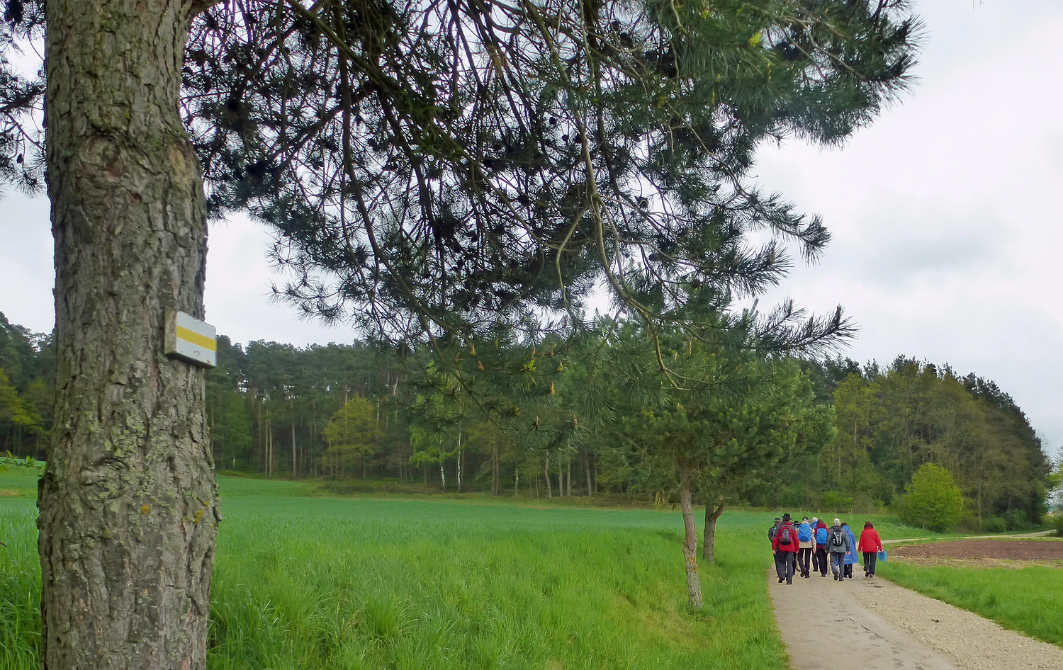 Wandergruppe vor Buechelberg &ndash;  (VGN &copy;&nbsp;VGN GmbH)