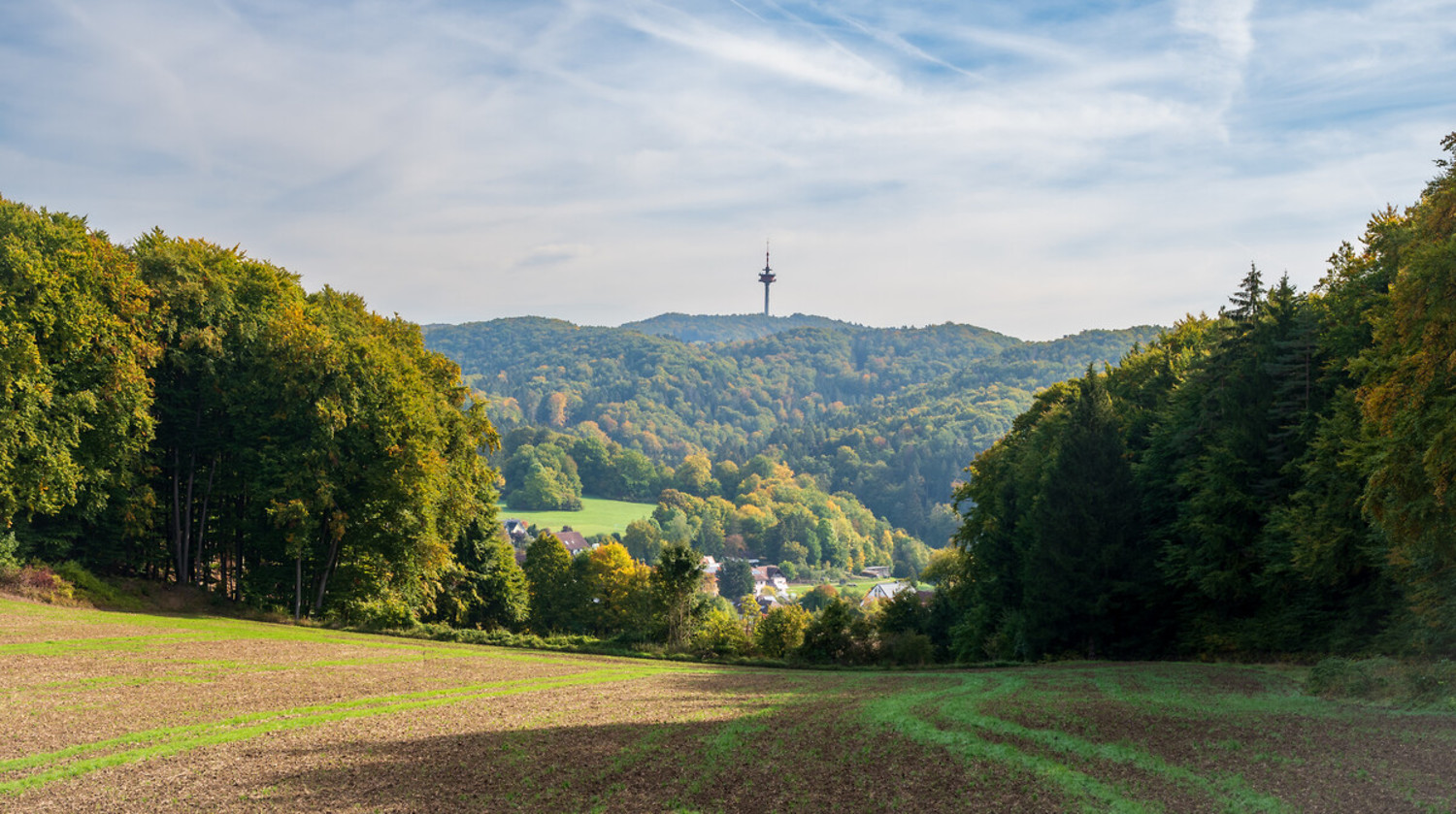 Aussicht auf den Funkturm &ndash;  (05.10.2022, VGN &copy;&nbsp;VGN GmbH)