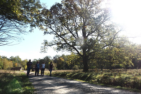 Wandergruppe &ndash; (16.10.2019, U. Buescher &copy;&nbsp;VGN GmbH)