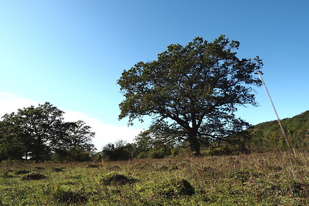 Landschaft &ndash; (16.10.2019, U. Buescher &copy;&nbsp;VGN GmbH)
