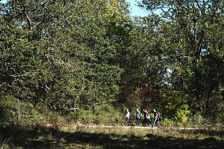 Durch den Wald &ndash; (16.10.2019, U. Buescher &copy;&nbsp;VGN GmbH)