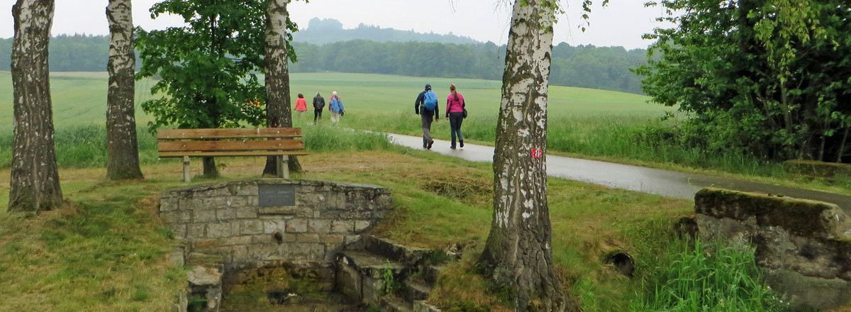 Auf dem Weg zum Ansberg (Veitsberg) &ndash;  (29.09.2015, VGN &copy;&nbsp;VGN GmbH)