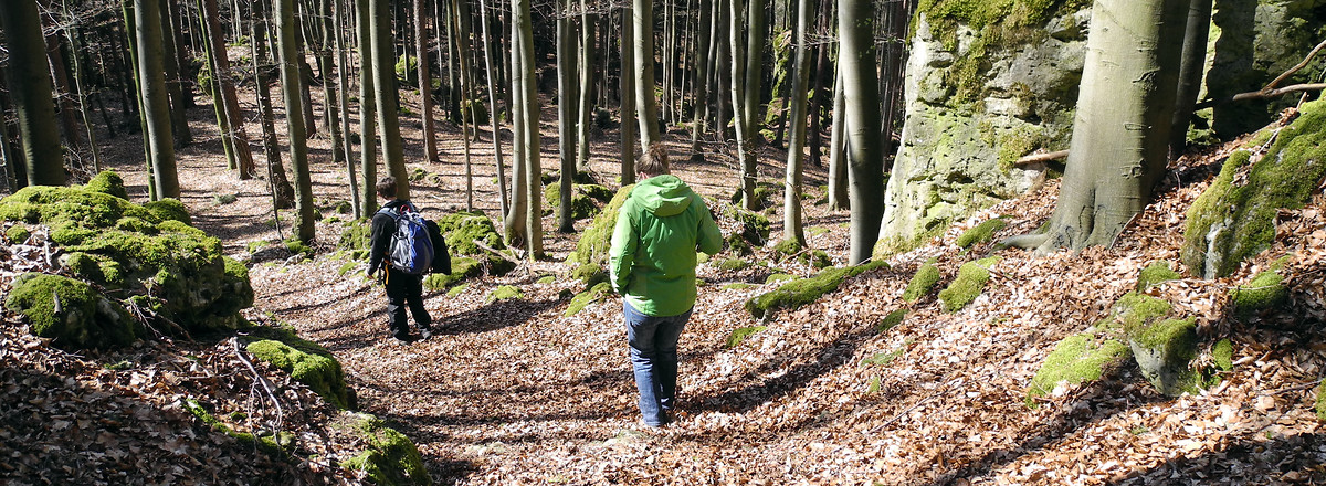 An der Tafel "Der Hochberg in der Jungsteinzeit" rechts abbiegen &ndash;  (VGN &copy;&nbsp;VGN GmbH)