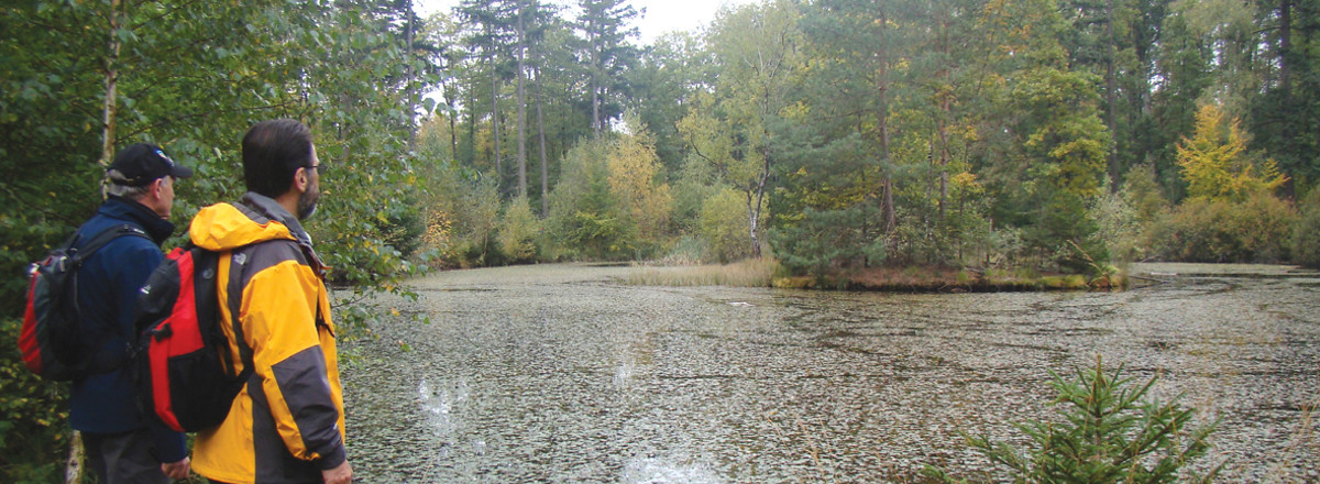 Herbstlicher Birkensee &ndash;  (18.10.2011, VGN &copy;&nbsp;VGN GmbH)