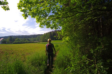 Wanderweg entlang Feld &ndash; (23.05.2020, U. Buescher &copy;&nbsp;VGN GmbH)