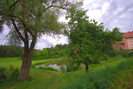 Bäume &ndash; (23.05.2020, U. Buescher &copy;&nbsp;VGN GmbH)