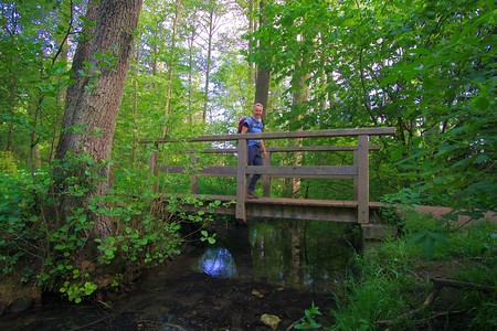 Brücke im Wald &ndash; (23.05.2020, U. Buescher &copy;&nbsp;VGN GmbH)