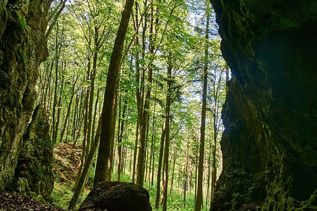 Blick durch einen Felsen &ndash; (10.04.2020, U. Buescher &copy;&nbsp;VGN GmbH)